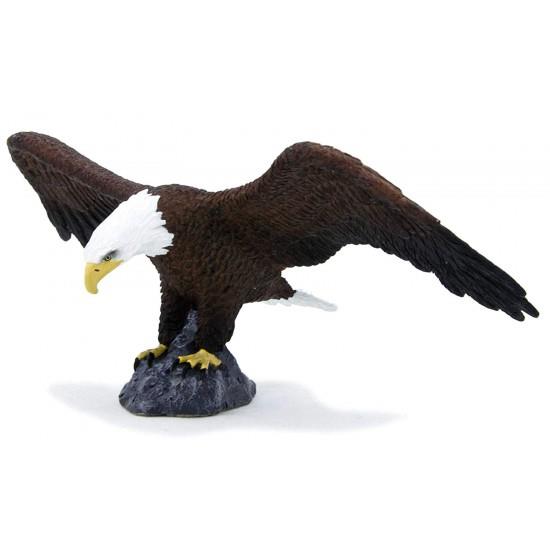 عقاب طاس آمریکایی  موجو American Bald Eagle 387027